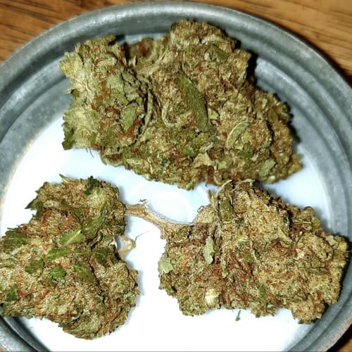 Customer photo review of THCA Queen