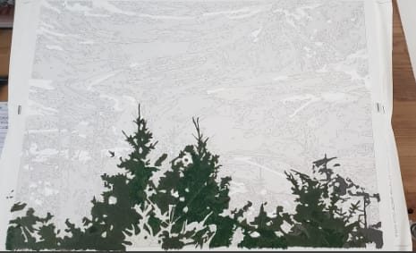 Customer photo review of Custom Landscape Paint By Numbers