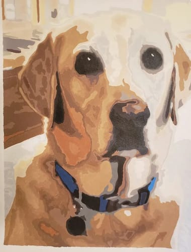 Customer photo review of Custom Pet Paint By Numbers