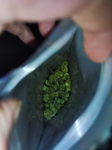 Customer photo review of Raspberry Kush - Minis - 28 Grams - Indica