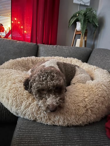 Customer photo review of CalmBed - Supermjuk komfort för djup sömn