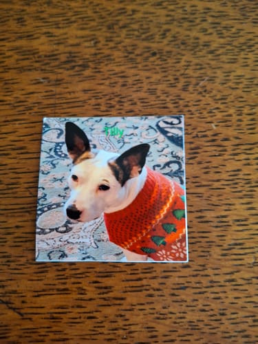Customer photo review of Print Custom Stickers