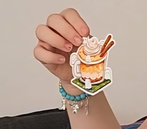 Customer photo review of Cute Weirdcore Girl Stickers!