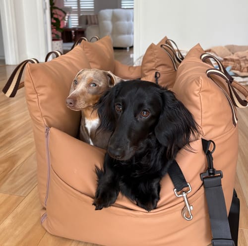 Customer photo review of Boujee Booster