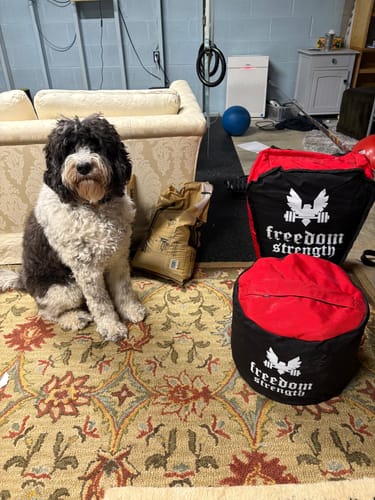 Customer photo review of Strongman Sandbag V3