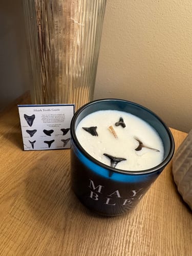 Customer photo review of The Original Shark Tooth Candle