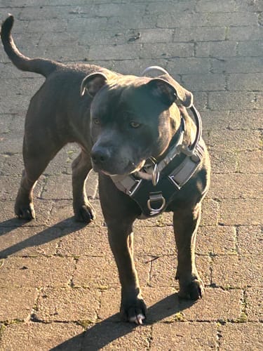 Customer photo review of Miscellaneous Charges For Exchanges