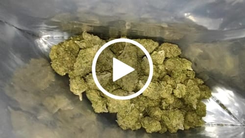 Customer video review of Cheap THCA Smalls Pound