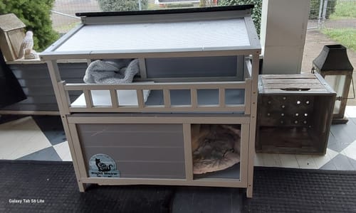 Customer photo review of Coziwow 36"L Insulated Wooden Platform Cat House