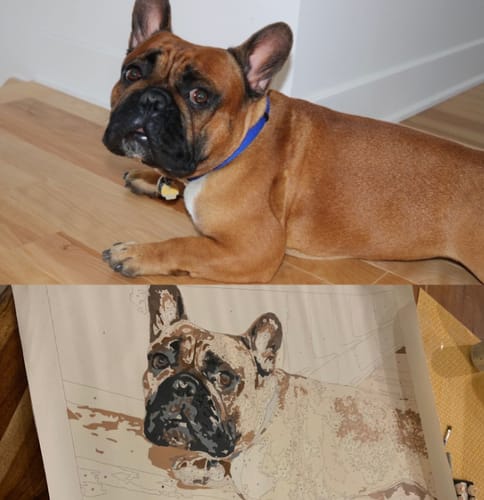 Customer photo review of Custom Pet Paint By Numbers