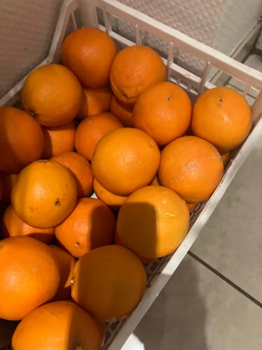 Ein Kunde zeigt eine weiße Kiste voller leuchtender Bio-Navel-Orangen.