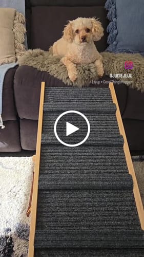 Customer video review of Premium Wooden Dog Ramp - Adjustable Height