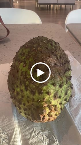 Customer video review of Soursop