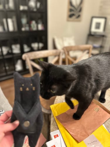 Customer photo review of Hugging Cat Zipper Pouch — Handmade Black Cat Bag Charm