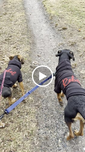 Customer video review of Leader Lite