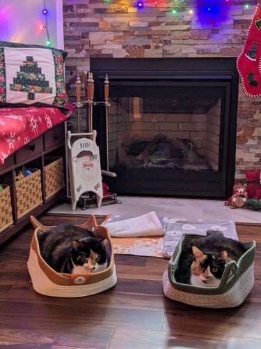 Customer photo review of Instinct Basket | Handwoven & Chemical-Free Cat Territory