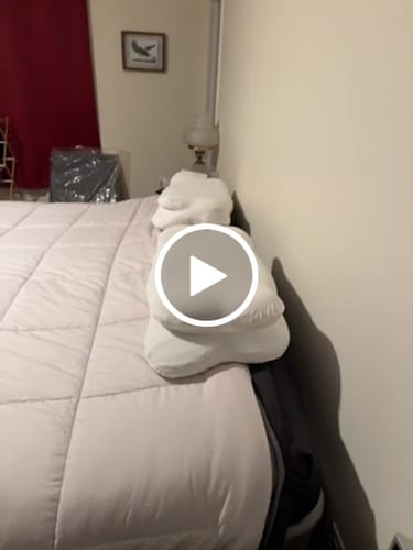 Customer video review of Cloud Cooling Pillow Case