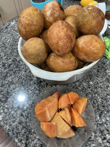 Customer photo review of Sapodilla (Nispero/Naseberry)