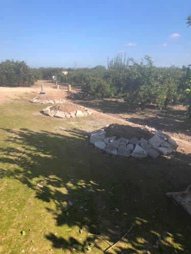 Customer photo review of Grain Free Giant Puppy