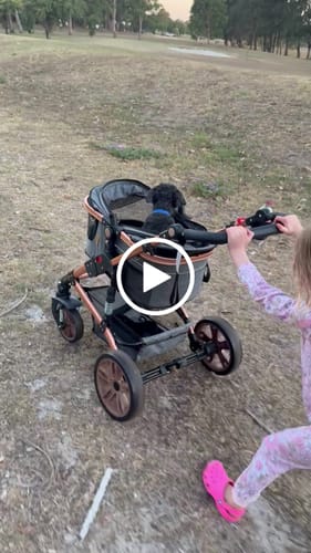 Customer video review of Pet Stroller with ISO-FIX Car Carrier