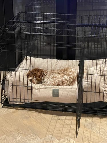 Customer photo review of Spare Cover - Slumber Tray Bed - Sandstone