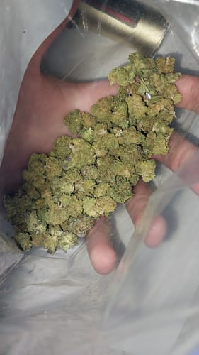 Customer photo review of Bulk THCA Smalls