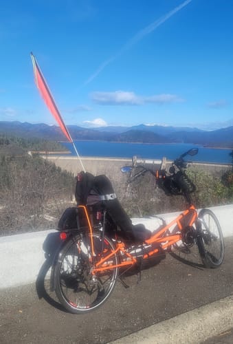 Customer photo review of Purple Sky Silhouette Flag