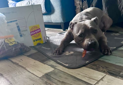Customer photo review of Pizzle Stix (1kg pack)