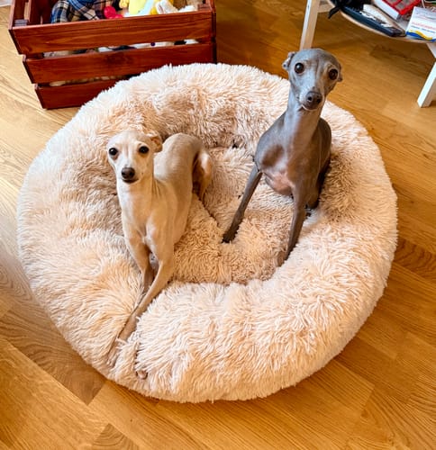 Customer photo review of CalmBed - Motverkar stress & hjälper mot ångest