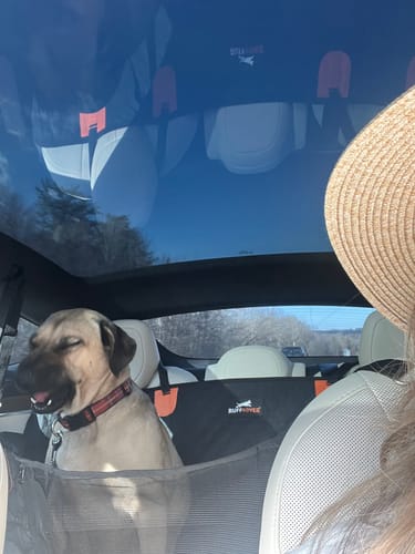 Customer photo review of RuffRover 2.0™ - Hard Bottom Dog Car Seat Protector