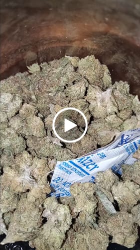 Customer video review of Bulk THCA Flower Pounds