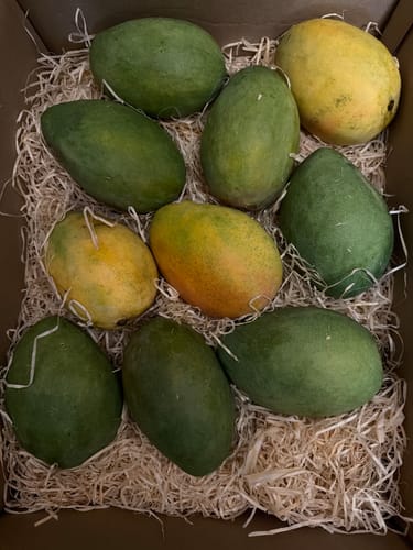 Kunde zeigt eine Kiste mit mehreren grünen und gelben Edward-Mangos, die in Holzwolle verpackt sind.