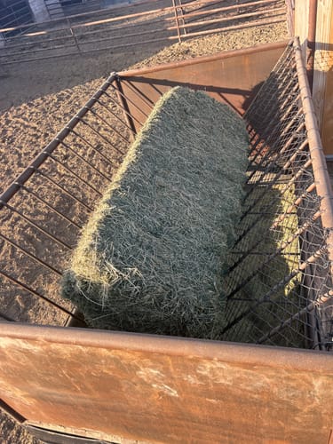 Customer photo review of Hay Chix® Do It Yourself Net