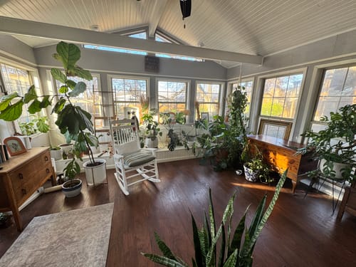Reviewer's sun-filled room with many healthy, thriving houseplants, showing the results of the Plant Food.
