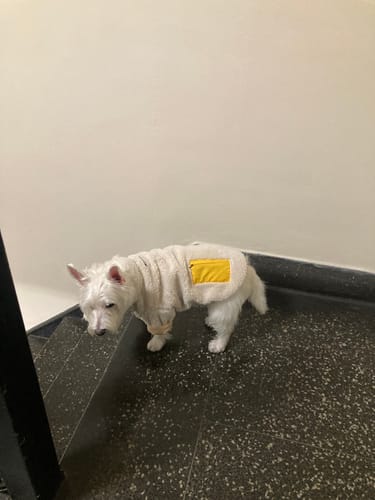 Customer photo review of Monkey Fleece Jacket