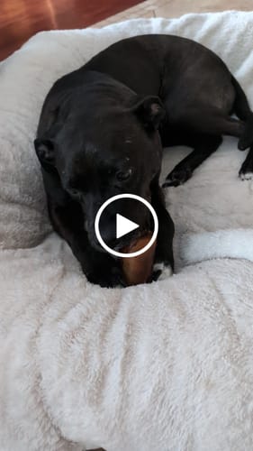 Customer video review of Smoked Beef Marrow Bone