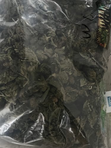 Customer photo review of Wedding Crasher THCA Flower LB