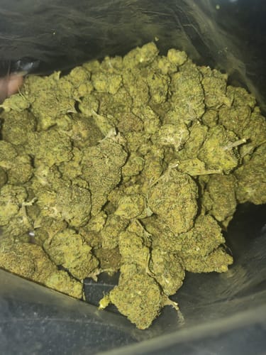 Customer photo review of Cheap THCA Flower Half Pound