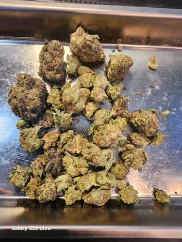 Customer photo review of Blueberry Syrup - 28 Grams - Indica