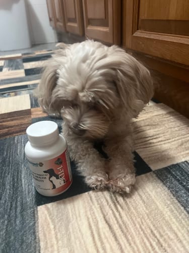 Customer photo review of 1-TDC Oral Health + Mobility Support for Dogs