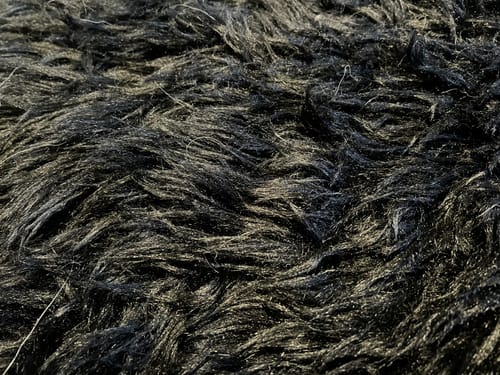 Customer photo review of Luxury Washable Faux Sheepskin Rug - Pet & Stain Proof Shag Carpet for Home