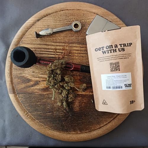 Customer photo review of 🍋 Lemon King - Power LVL 5/5