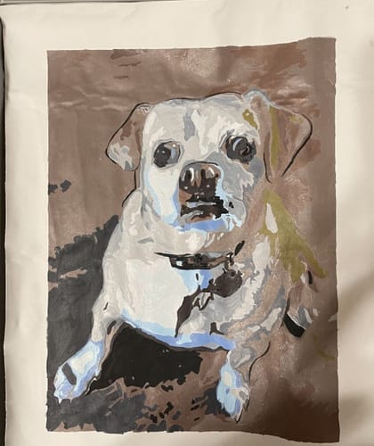 Customer photo review of Custom Pet Paint By Numbers