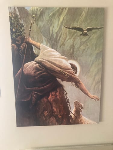 Customer photo review of The Lost Sheep - Jesus The Good Shepherd