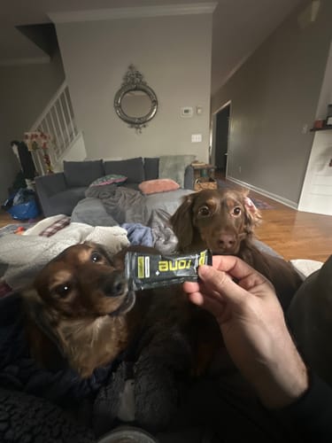 Customer photo review of VARIETY PACK - 100mg Caffeine - SuperCharged Honey (20-Pack)