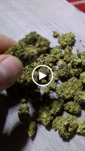Customer video review of Bubba Candy - Bulk - Indica