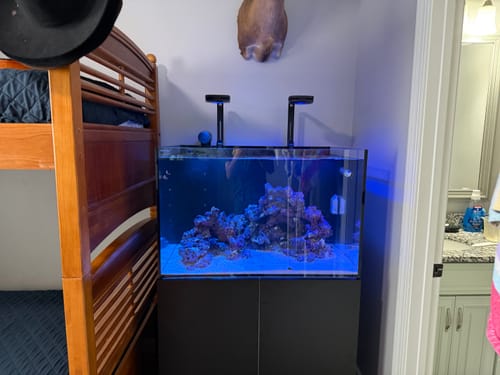 Customer photo review of Fiji Cube 81 Gallon EXT Rimless Tank Package