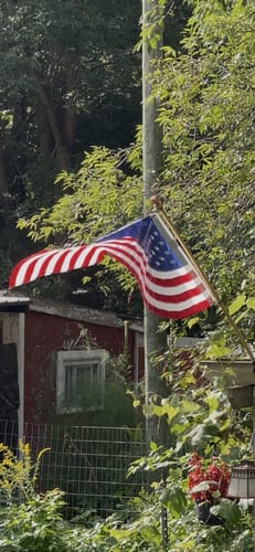 Customer photo review of Non-Tangle Flagpole Spinners