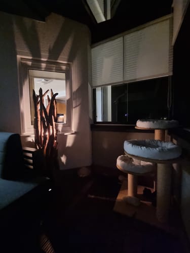 Kundenfoto der beleuchteten Wurzelholz Stehlampe, die nachts eindrucksvolle Muster an die Wand wirft.