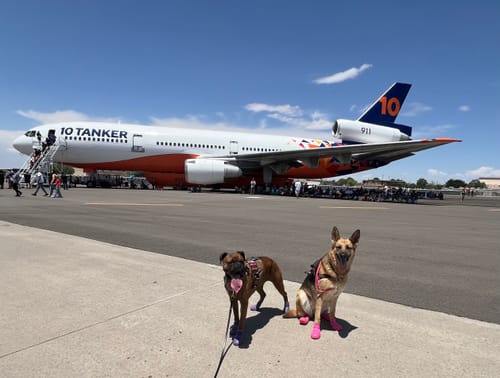 Customer photo review of WagWellie® Mojave Single